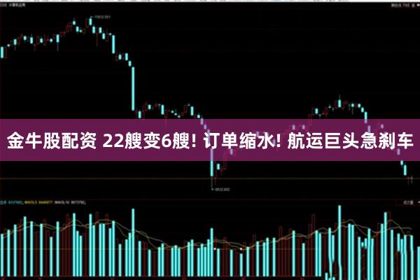 金牛股配资 22艘变6艘! 订单缩水! 航运巨头急刹车