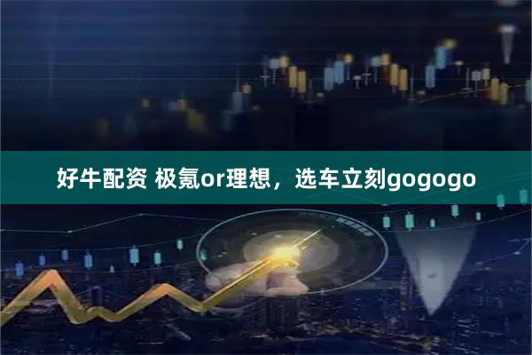 好牛配资 极氪or理想，选车立刻gogogo
