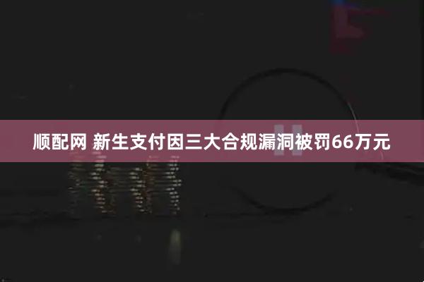 顺配网 新生支付因三大合规漏洞被罚66万元