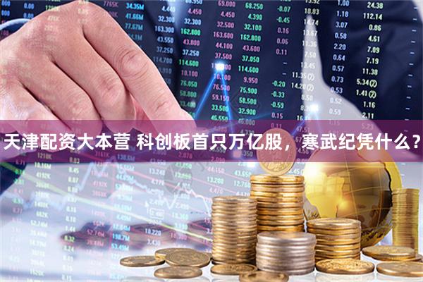 天津配资大本营 科创板首只万亿股，寒武纪凭什么？